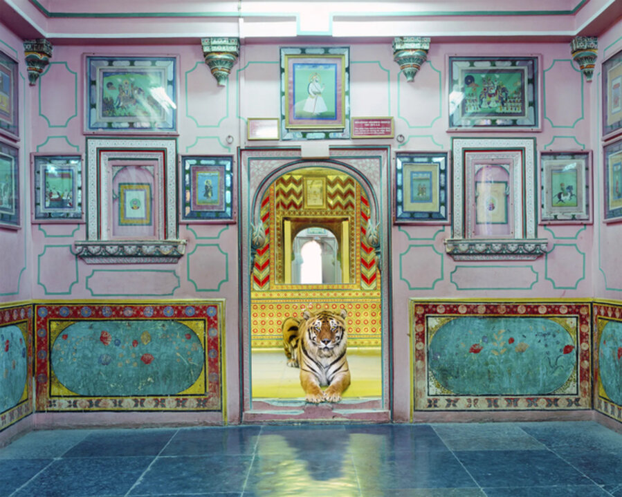 Interloper, Sheesh Mahal, Udaipur City Palace