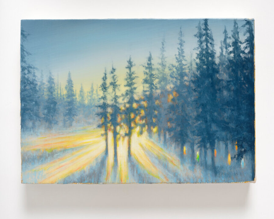 Roadside Woods