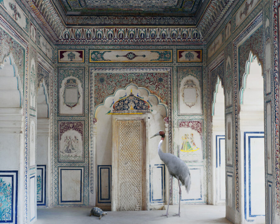 Amrita’s Message, Nagaur Fort, Nagaur