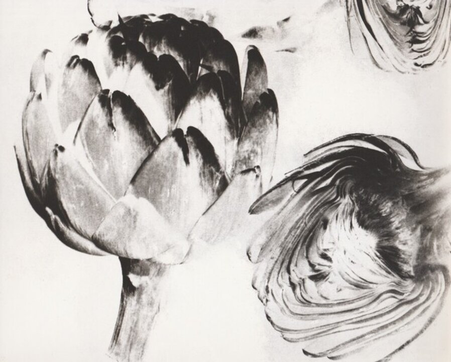Untitled (artichokes)