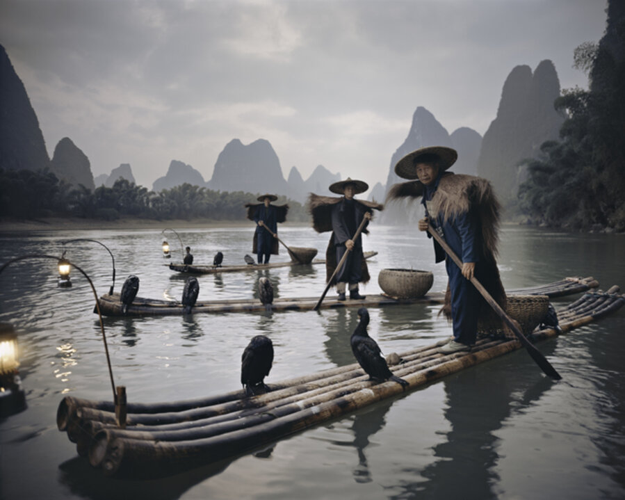 XXII 467 Yangshuo Cormorants, China