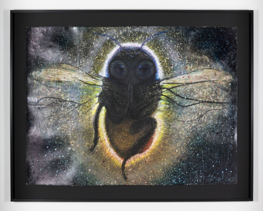 Shamanic Bee