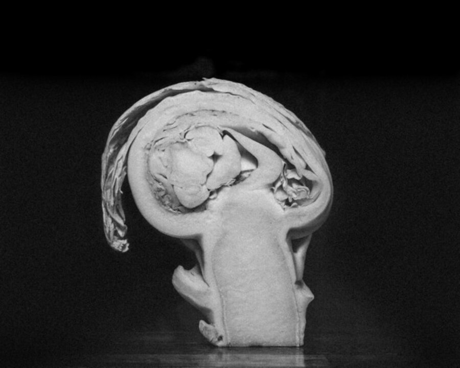 A study on conscience