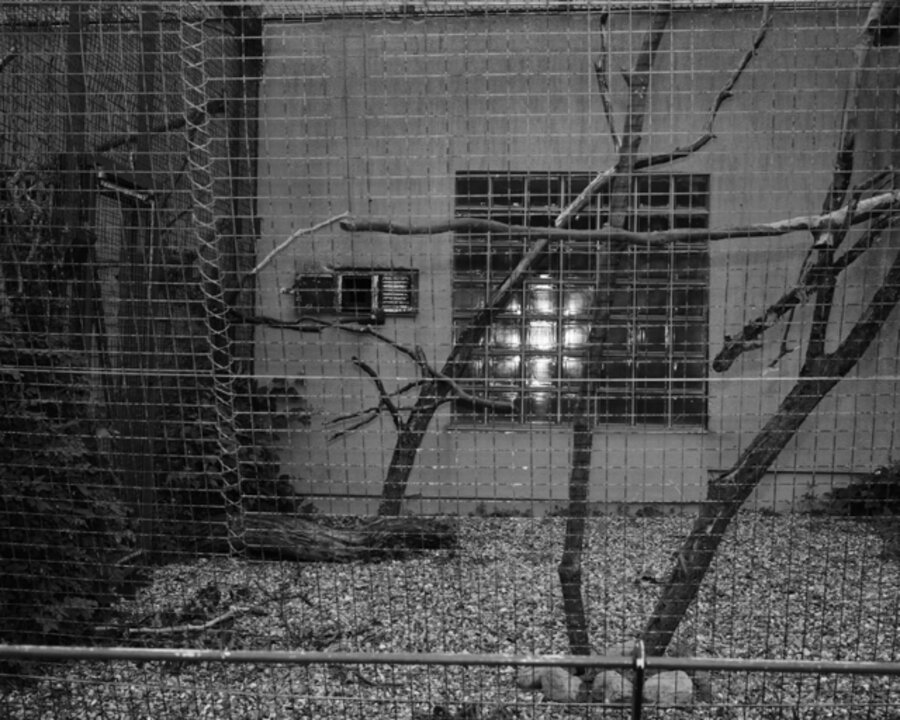Enclosure XLV