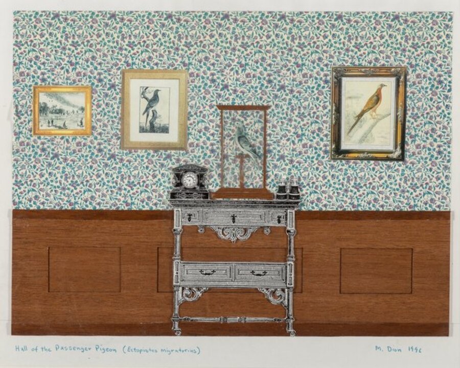 The Hall of the Passenger Pigeon (Ectopistes Migratories)