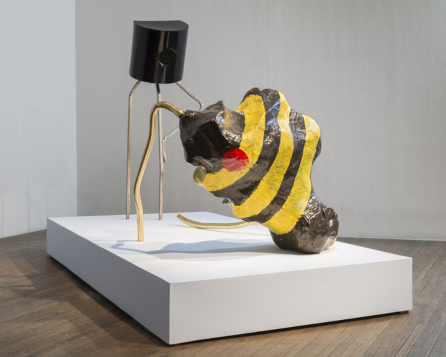 Colony Collapse Disorder