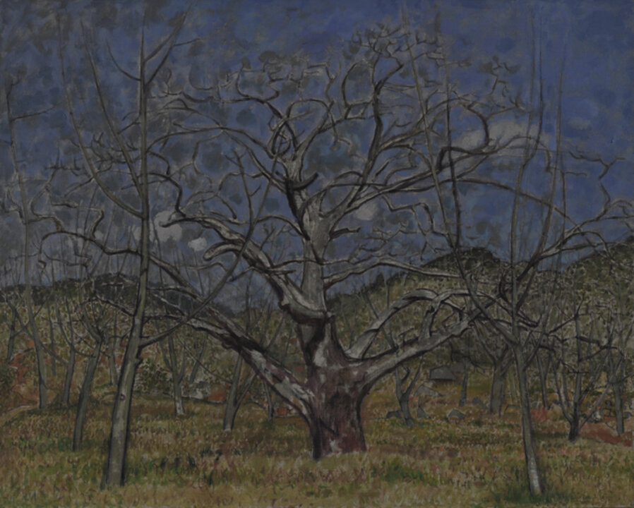 Sketch in Guishan, Tree as Elderly No. 1