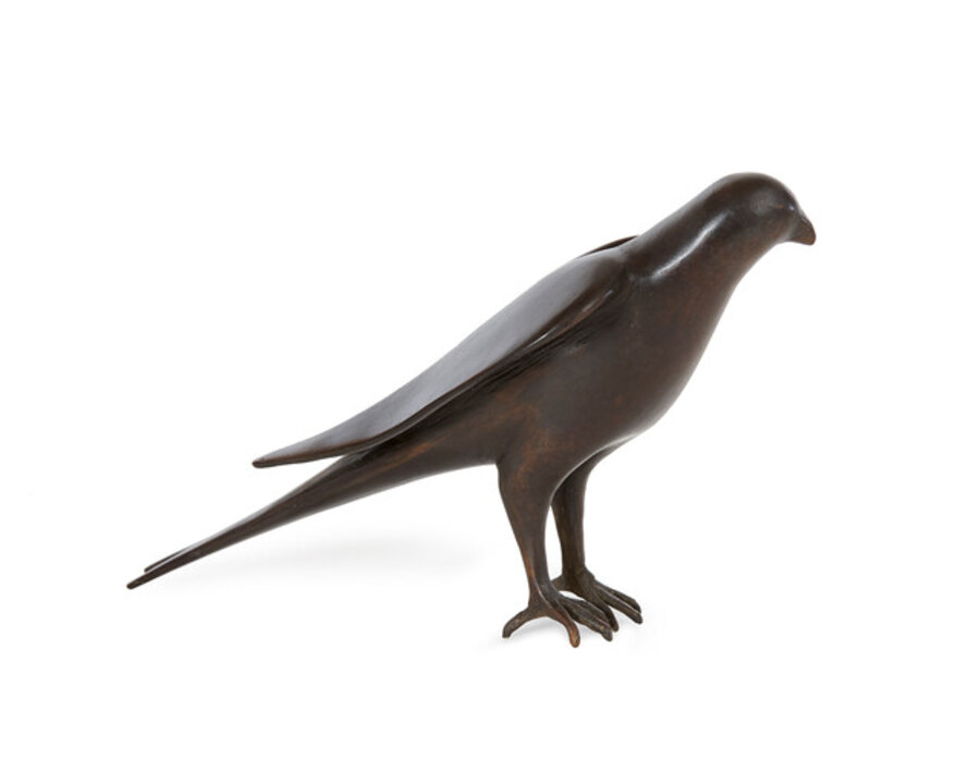 Bird with Wings Out