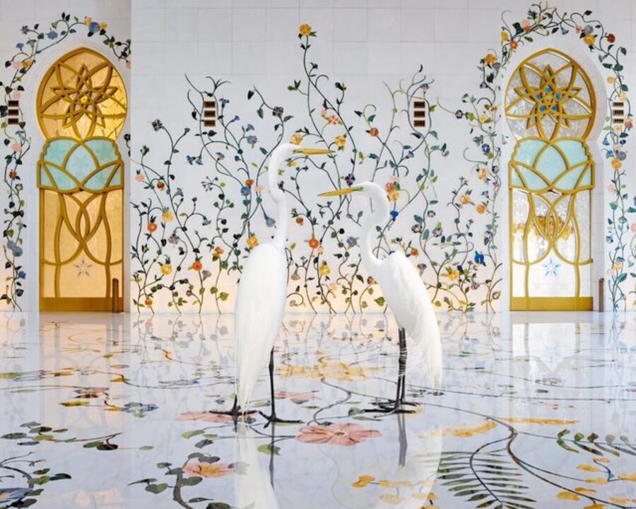 Morning Glory, Grand Mosque, Abu Dhabi