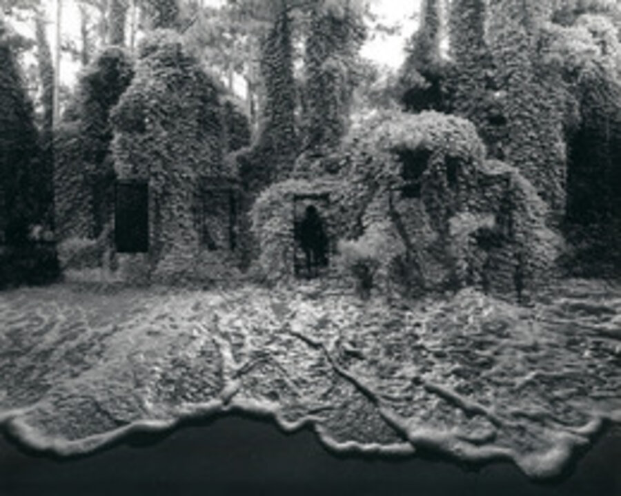 Untitled, 1982