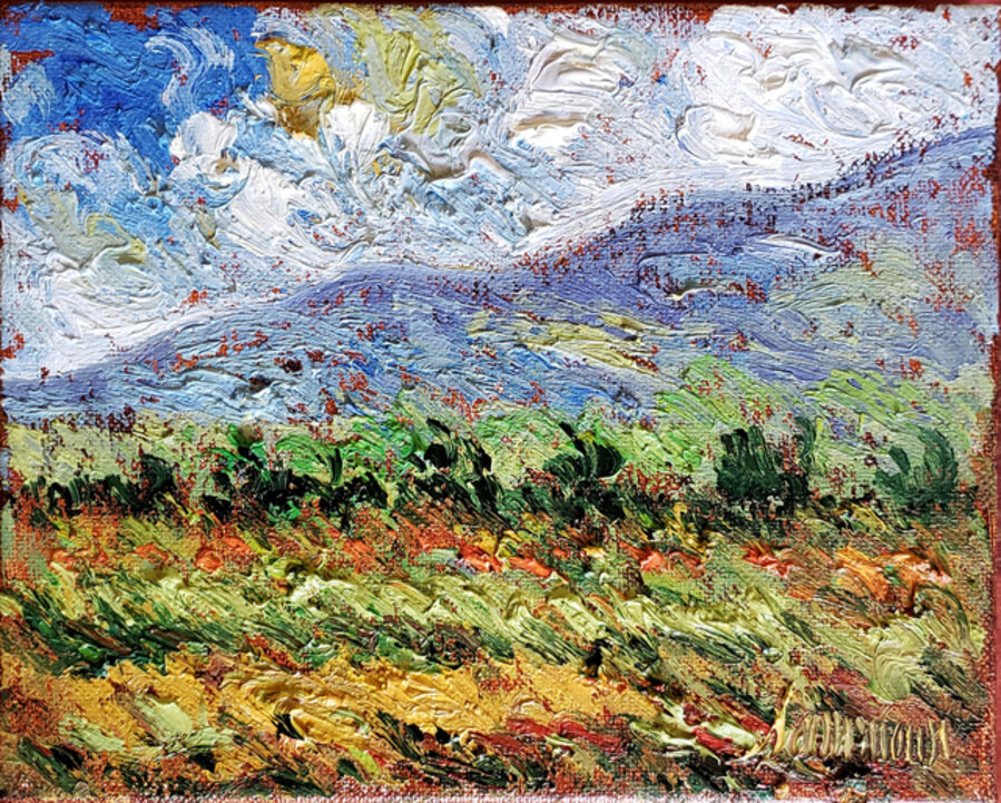 Wild Field Bekaa Valley