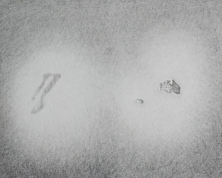From the Dark Cronographies series. Untitled (trace) #20