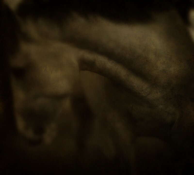 Jack Spencer, ‘Horses 1/10’, Photography, Archival Pigment Print, Gail Severn Gallery
