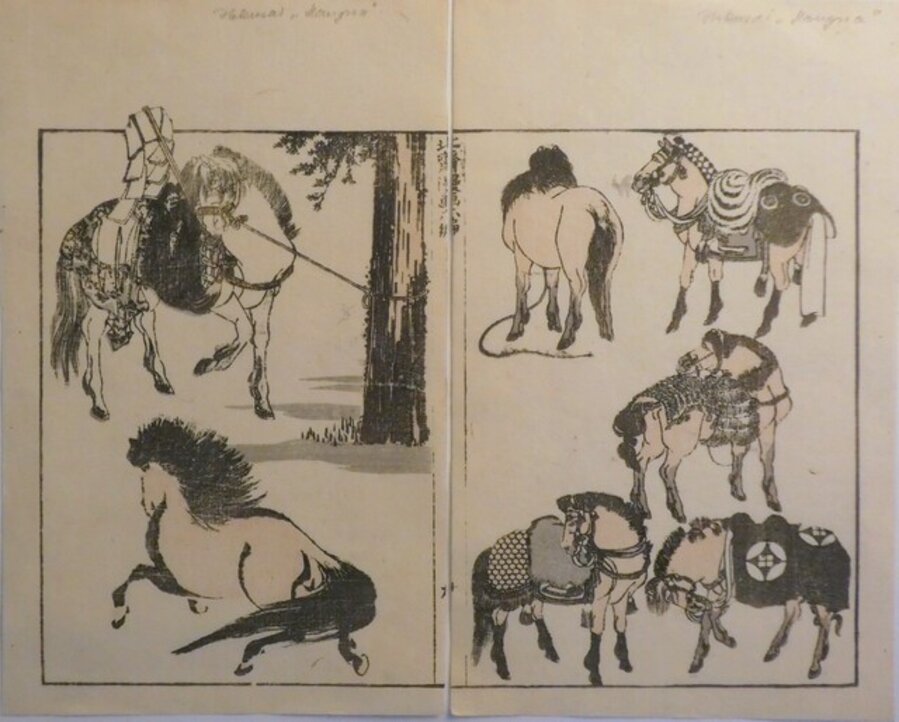 Horses