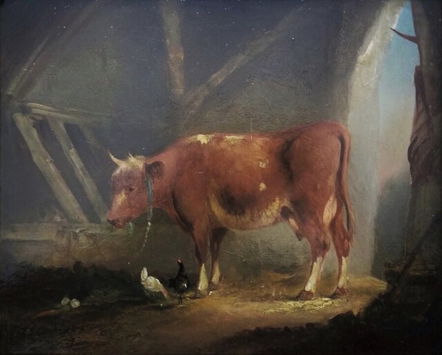 Cow and Chickens in Stable