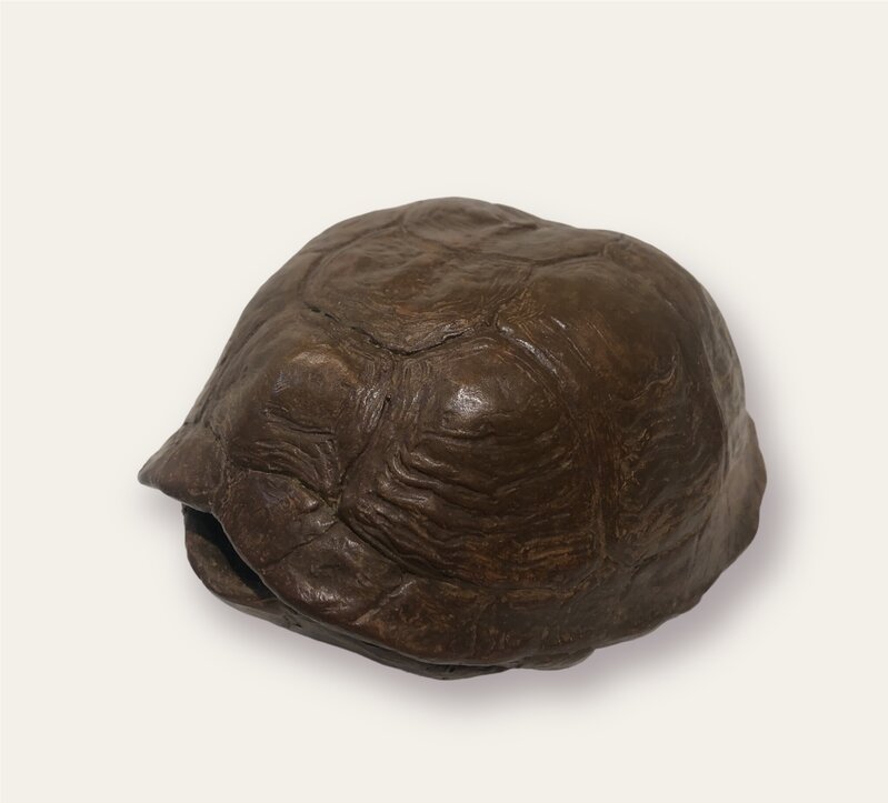 J. Clayton Bright, ‘Turtle Shell’, ca. 2001, Sculpture, Bronze, Somerville Manning Gallery
