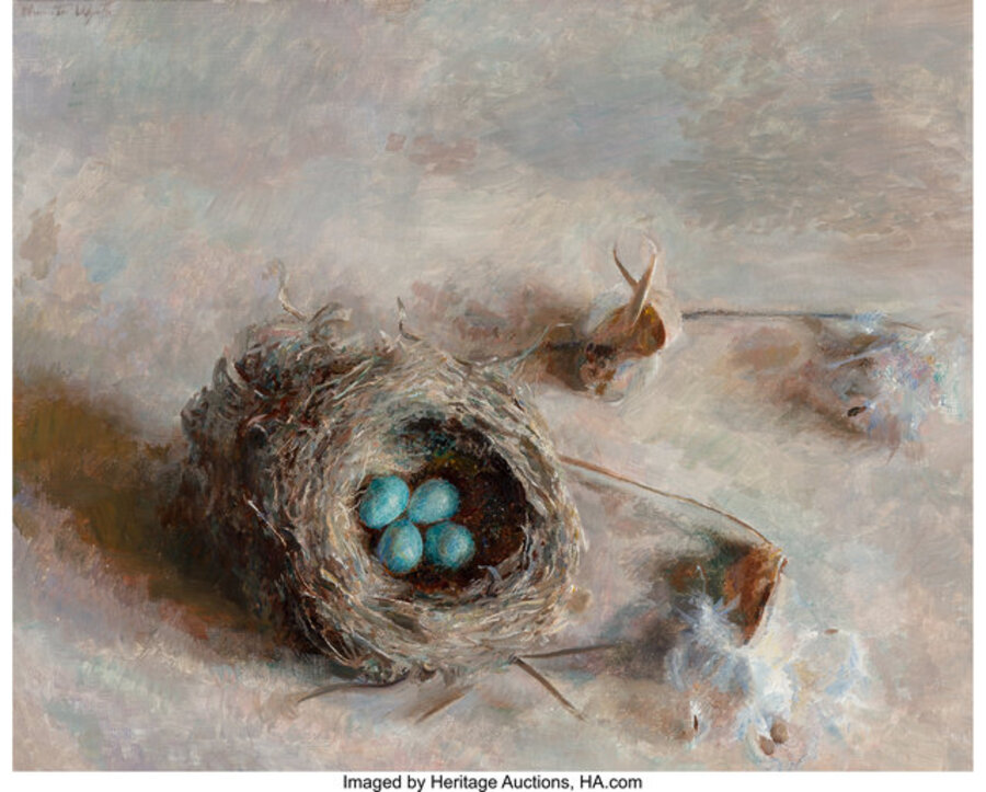 The Marvelous Little Nest