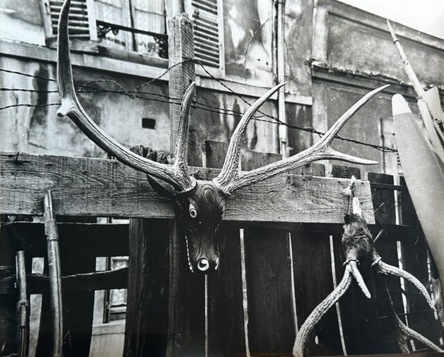 Back Garden, Paris (antlers)