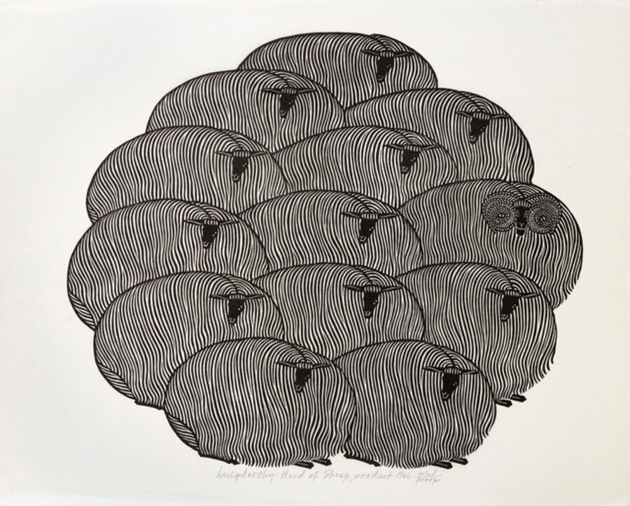 Herd of Sheep