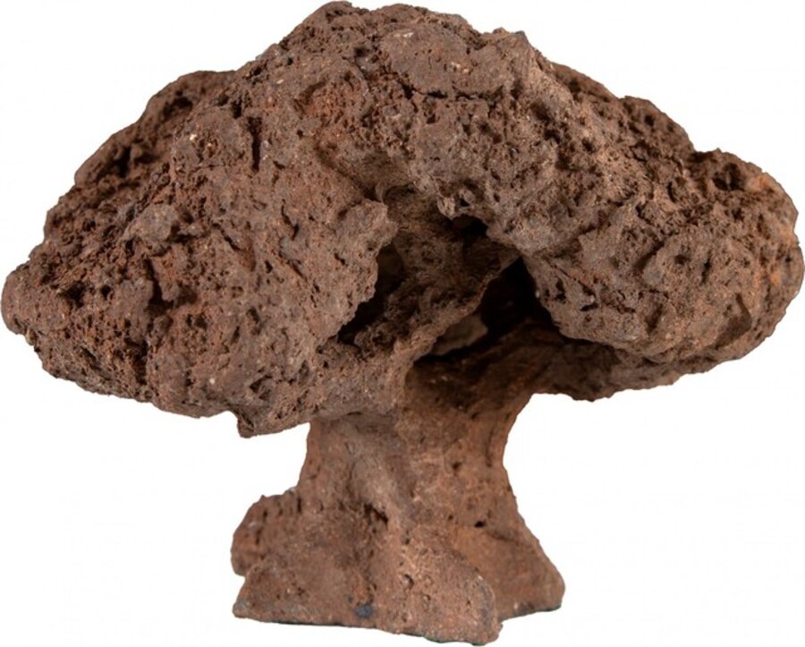 Árvore