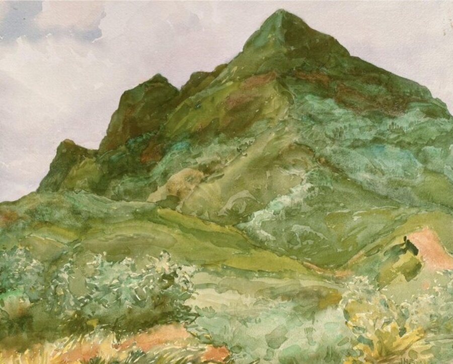 New Mexico Mountain Scene