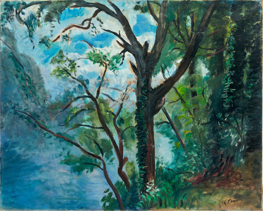 Dans les Bois au bord du Gard