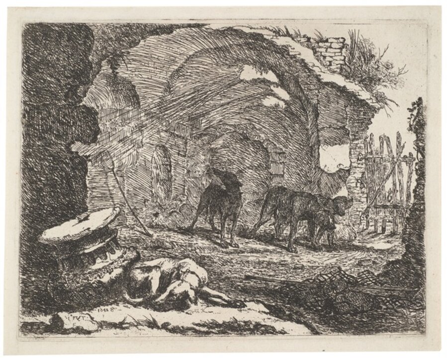 Four Dogs and a Ruin