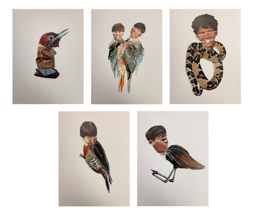 Unlearning Instincts, set of 5