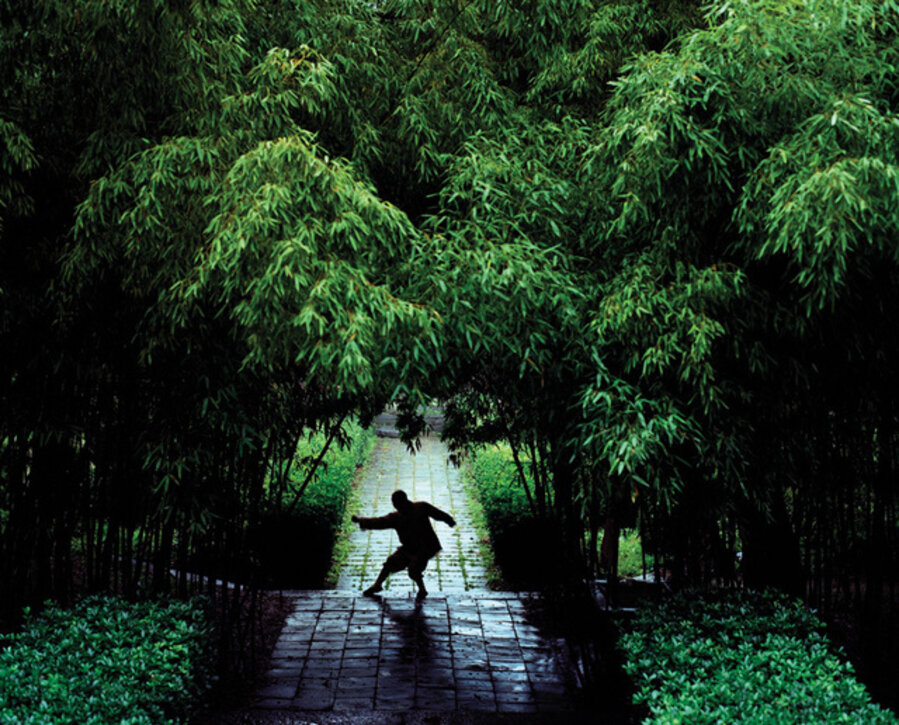 Shi Yan Lang, Tong Jian Quan (Through the Shoulder Fist)