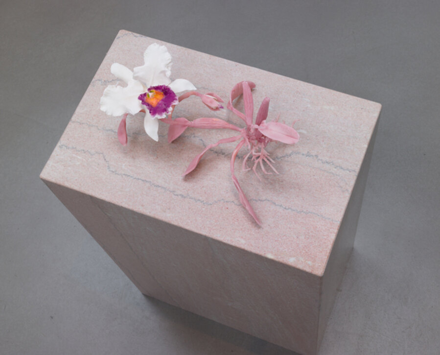 Hummingbirds and Orchids, c. 1875-90 (Blc. Hillary Rodham Clinton 'First Lady')