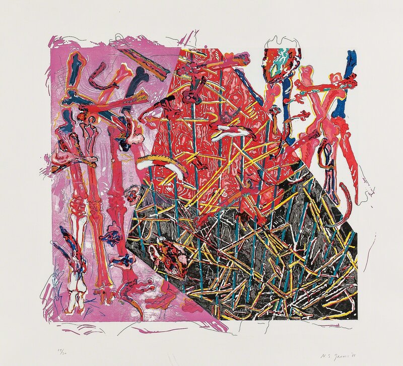 Nancy Graves, ‘Calibrate’, 1981, Print, Color etching with aquatint, engraving, and lithography on wove paper, Skinner