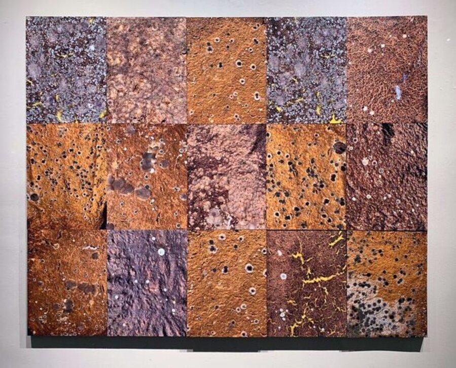 Mold Lands