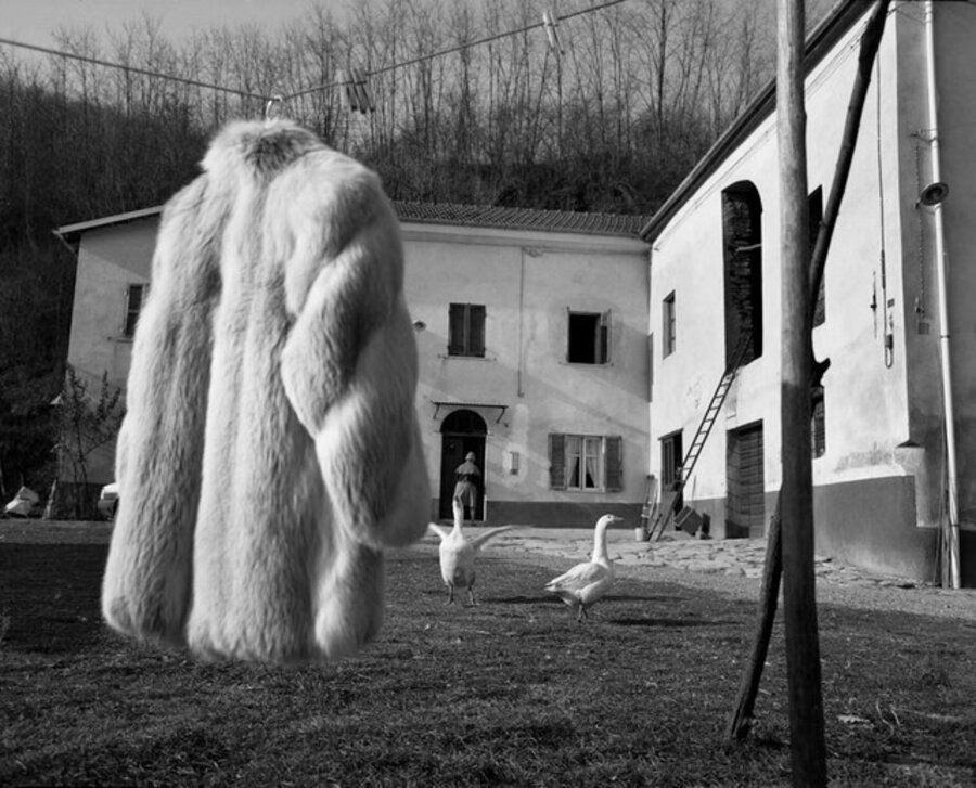 The Fur Coat