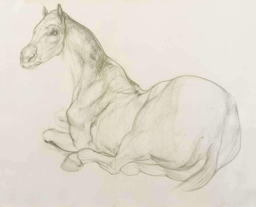 Horse for My Dad