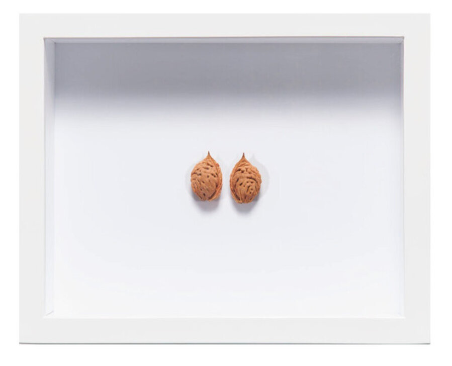 peach pit