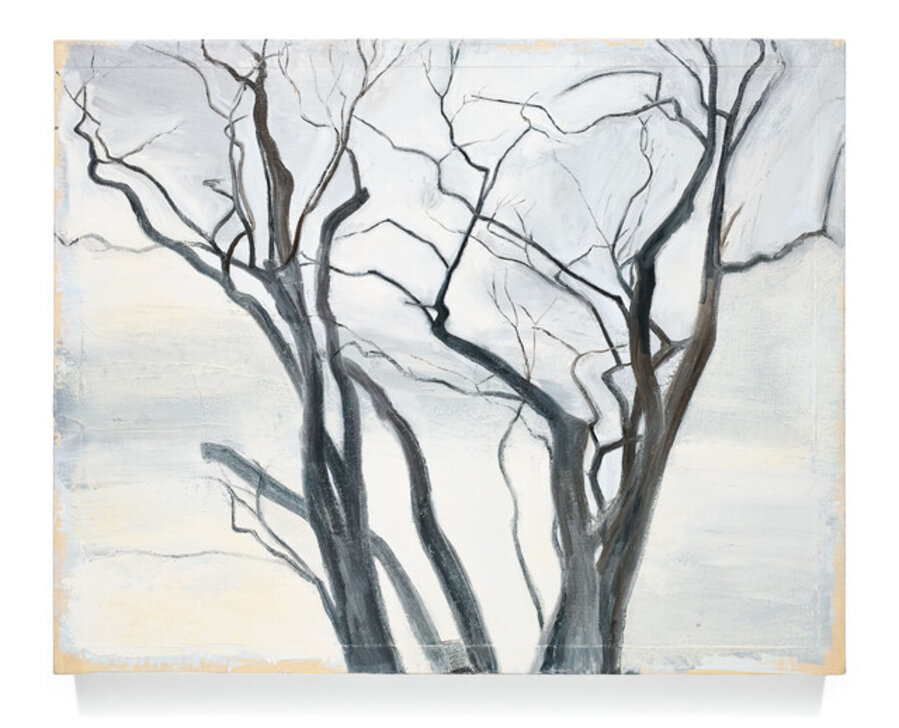 Locust Tree Tops