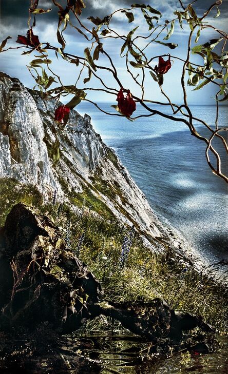 Holly King, ‘Cliff with Vines’, 2015