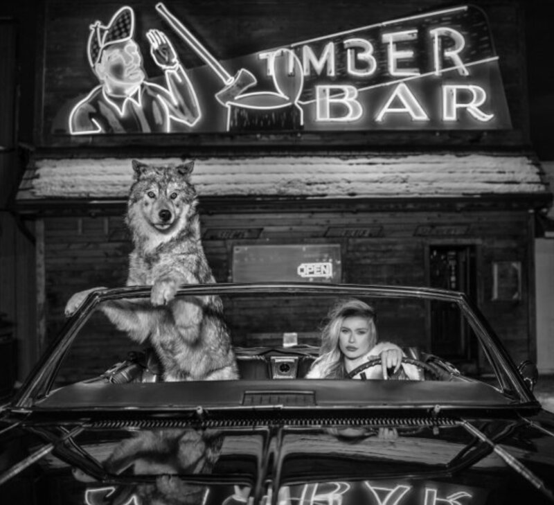 David Yarrow, ‘Coyote Ugly’, 2019, Photography, Archival pigment print, Maddox Gallery
