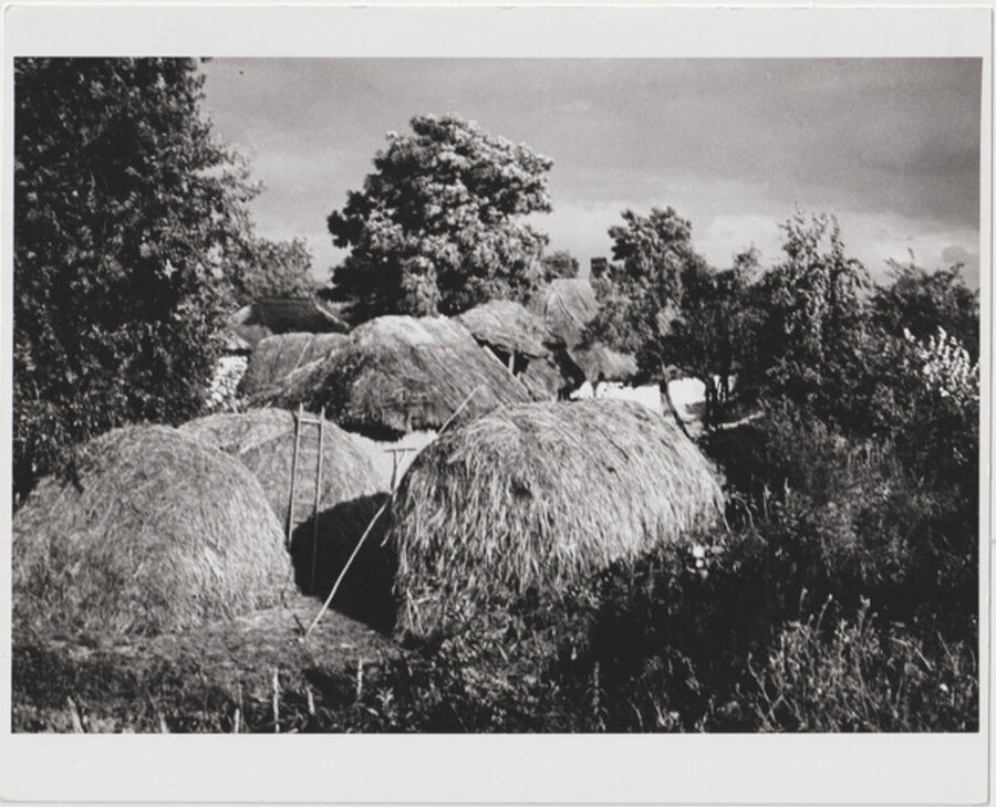Tisza-szalks
