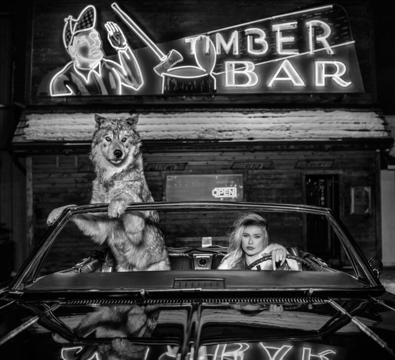 David Yarrow, ‘Coyote Ugly’, 2019, Photography, Archival Pigment Print, CAMERA WORK