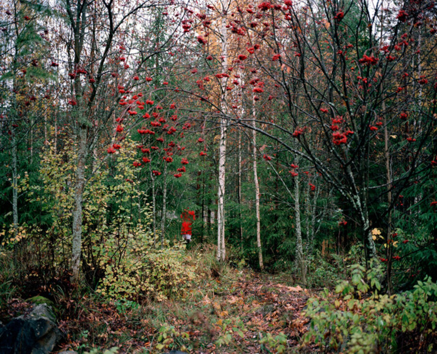 Autumn