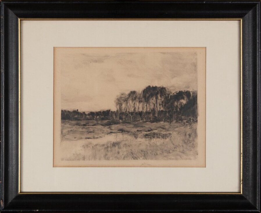 Landscape I