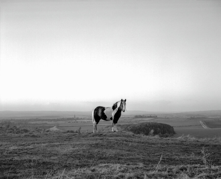County Durham