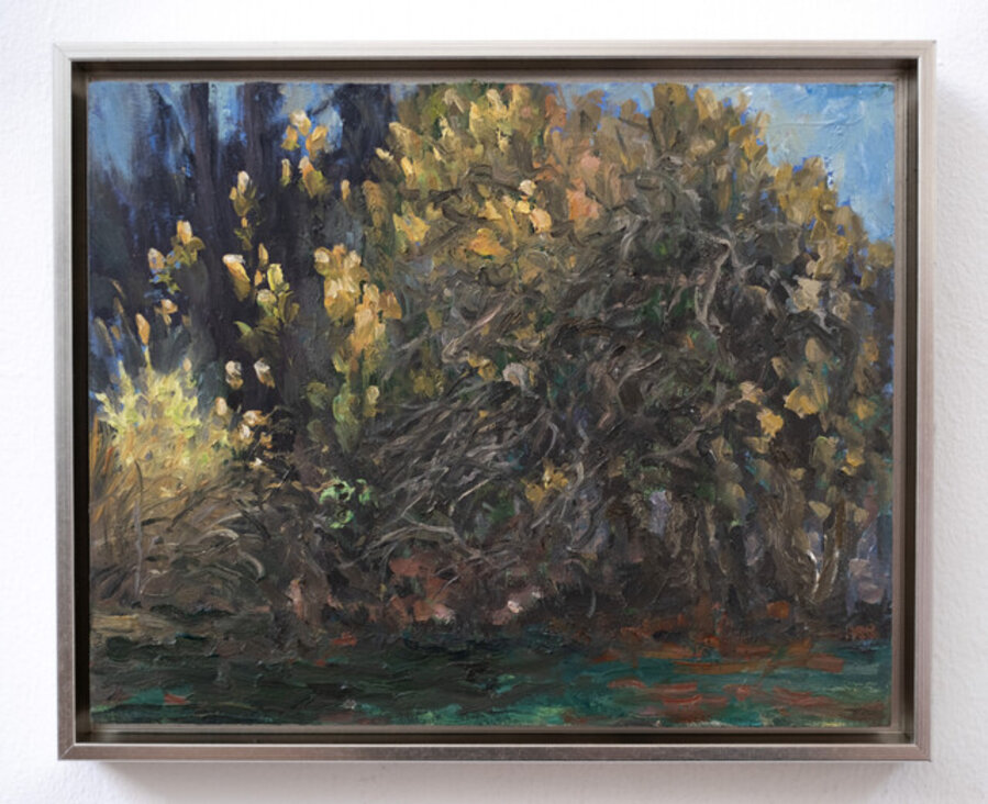 Yard (III)