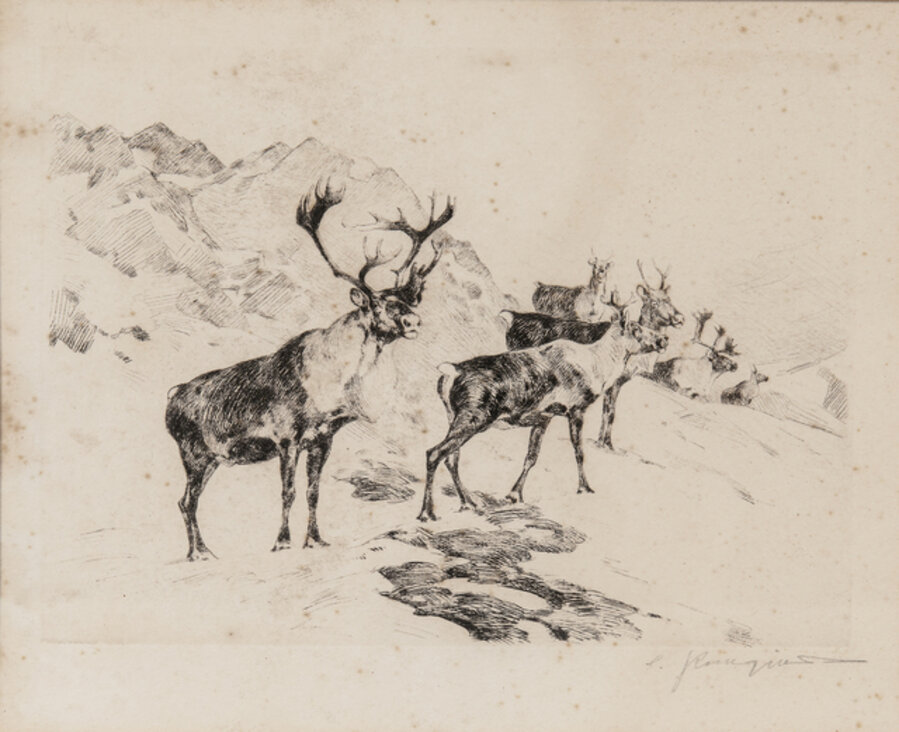 Osborn's Caribou