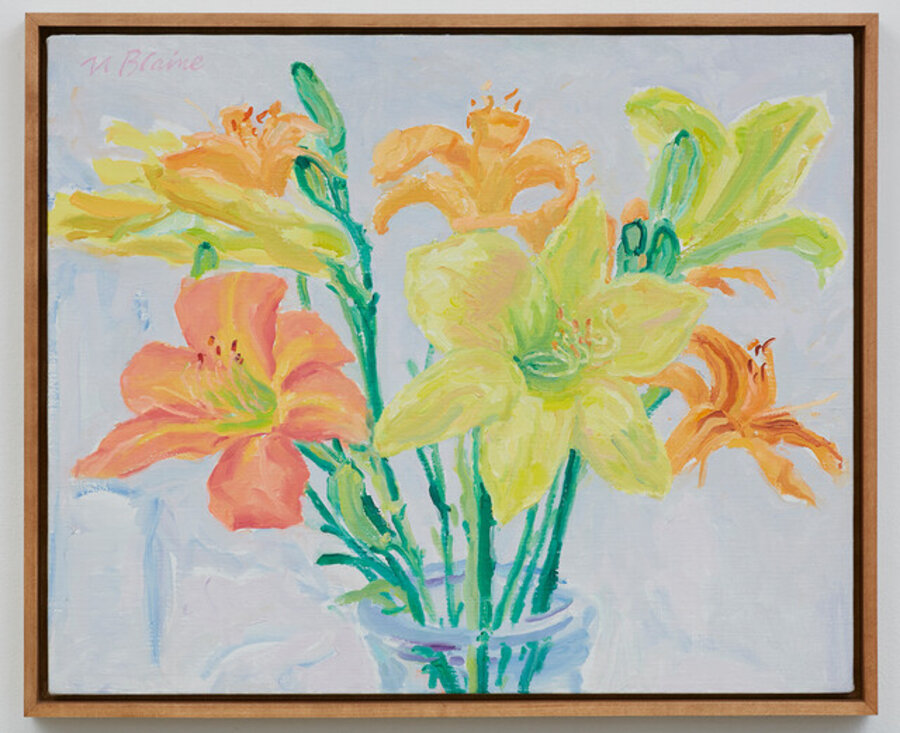 Day and Night Lilies