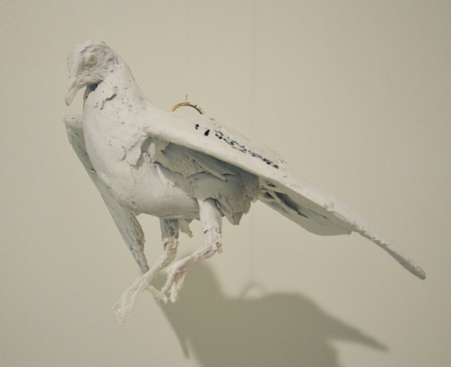 Dove