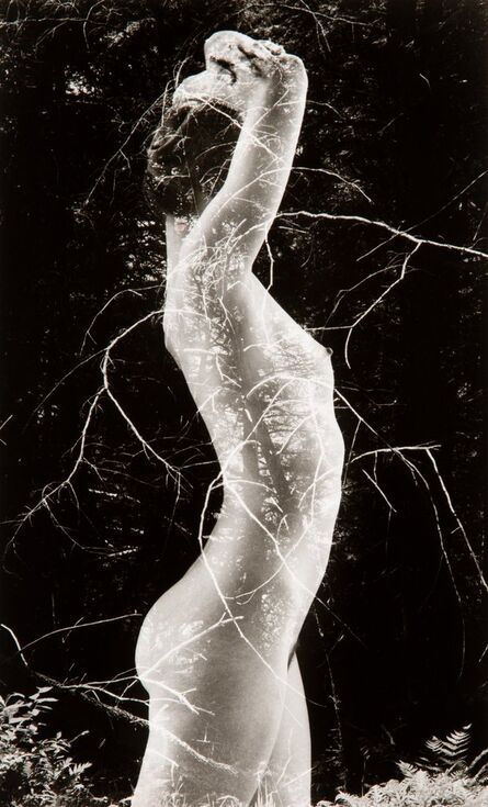 Ruth Bernhard, ‘Symbiosis’, 1971