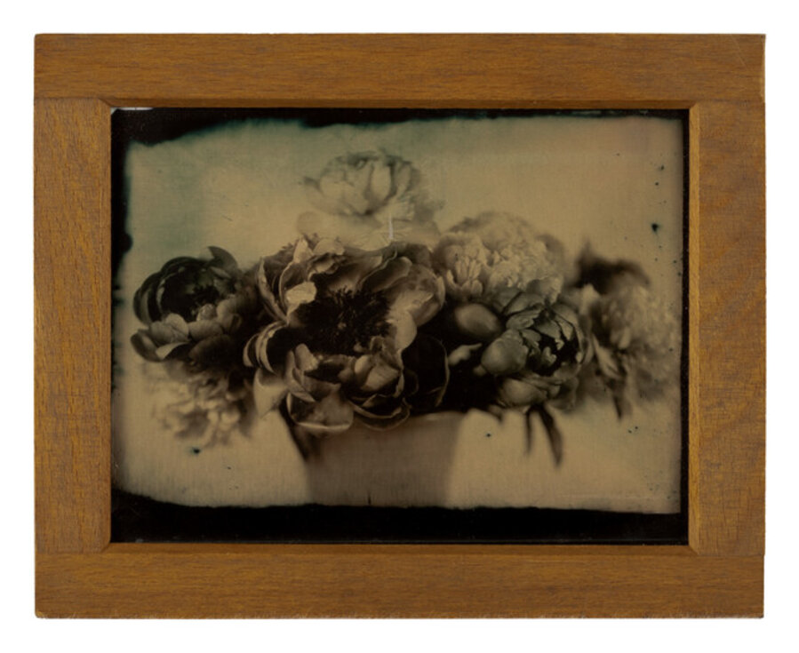 Sadie's Peonies