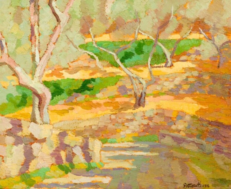 Olivi, viejo cacamini romano